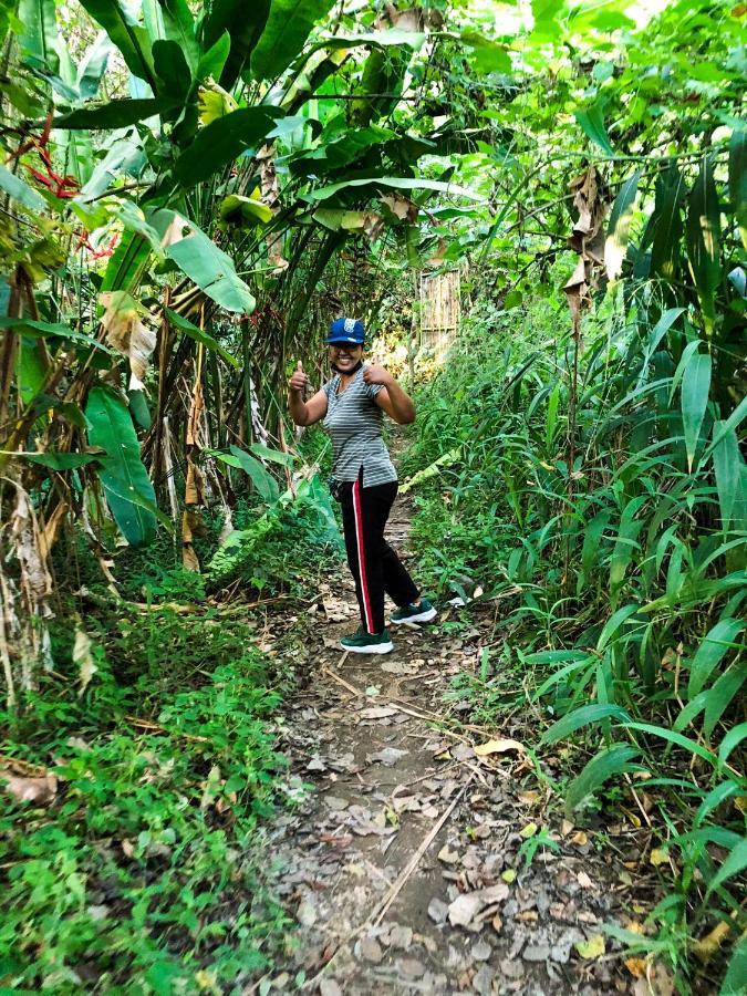 Rayshiva Homestay Ubud  Luaran gambar